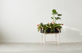 Add a pot of ornamental kale to add a spot of glaucous green. Botanic Flower Stand Blumenkasten Gross Design House Stockholm Design House 2520 1051