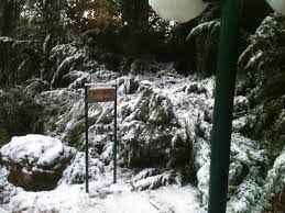 שנתיים שלמות עקבה אחריהן המצלמה. Facebook