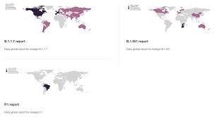 En france, ce variant brésilien est apparu pour la première fois début février mais il est pour l'instant resté très largement minoritaire. Variants Anglais Sud Africain Et Bresilien Du Coronavirus Que Savons Nous