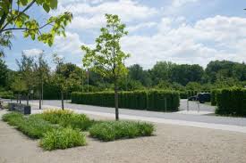Seit 2010 gehen wir als junges team mit freude an unsere projekte und. Kohout S Garten Und Landschaftsbau Gmbh