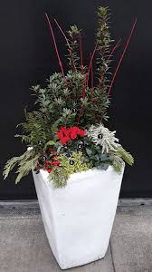 I usually leave all of the soil in. Containers That Celebrate Fall And Winter Finegardening
