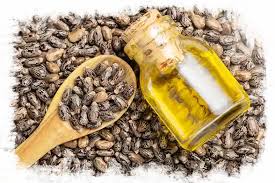 Image result for Castor Oil