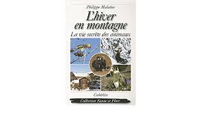 It's a dog's dinner = c'est le foutoir. L Hiver En Montagne La Vie Secrete Des Animaux French Edition Mulatier Philippe 9782882955692 Amazon Com Books