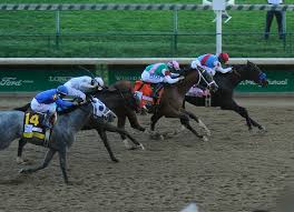 Medina spirit won his first career race dec. Idqrekmr7uj0pm