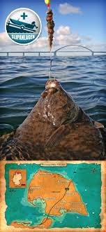 Bootsangeln Rund Um Fehmarn Fliegenfischen Fehmarn Angeltricks