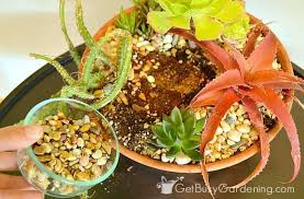 Check spelling or type a new query. How To Make An Indoor Succulent Garden Get Busy Gardening