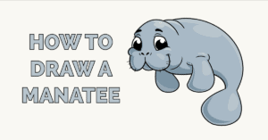 Start drawing from its head, gills and then rest of the body structure. How To Draw Animals Easy Drawing Guides