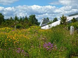 Botanischer Garten Bayreuth De Botanischer Garten Garten Tourismus