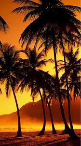 Our focus is to provide the best experience for people using their. Summer Iphone Sunset Beach Wallpaper