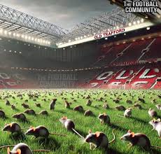 🚨¿AQUÍ VAMOS? Cientos de ratones vistos en el campo de Old Trafford. Si no  tienen cuidado, todos serán llamados al primer equipo.