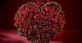 Order now to ensure your valentine's delivery! Morrisons Launch 25 Bouquet Of 100 Red Roses To Rival Lidl This Valentine S Day Mirror Online