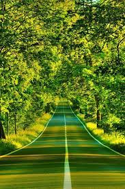  Fondos De Pantalla Para Iphone Nature Desktop Scenery Wallpaper Hd Landscape