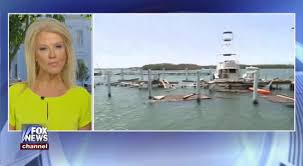 Shannon bream is an american journalist and lawyer who appears on fox news channel. Fox News Host Homegrown Tallahassean Shannon Bream Gets Prime Time Show