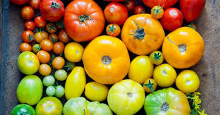 It doesn't seem right to let cherry tomatoes go to waste. Can You Freeze Tomatoes Here S How You Can Do It Right