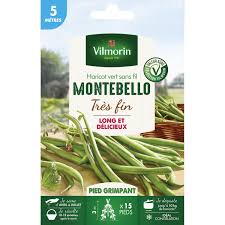 Graine Haricot Montebello Vilmorin 28 G Graine De Haricot Haricot Haricot A Rame