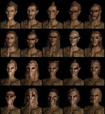 Wood Elf Or Bosmer Race And Their Names In Skyrim The Elder Scrolls V Skyrim Races Skyrim Skyrim Wood Elf