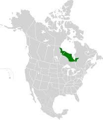 Further, some 10,000 years ago, the lowlands rose rapidly somewhere around 20 meters per century. Hudson Bay Lowlands Wikipedia