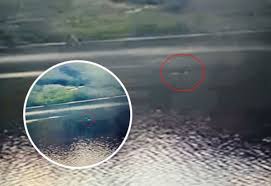 Loch Ness Monster: Is this Nessie? Fresh sighting of the elusive water  horse made on popular Visit Inverness Loch Ness webcam
