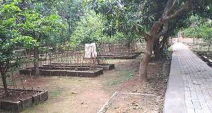 Maybe you would like to learn more about one of these? Sma Islam Teratai Putih Global Bekasi For Android Apk Download