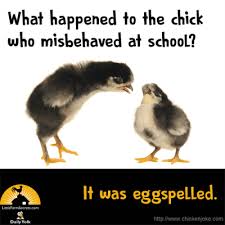 What Happened To The Baby Chicken That Misbehaved At School It Was Eggspelled What Happened To The Baby Chicken That M Cute Jokes Funny Puns Jokes Punny Jokes