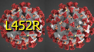 Scientists have linked the l452r variant to several large outbreaks in santa clara county—the most the l452r variant, which is different from the highly transmissible b.1.1.7 first detected in the u.k. New Covid 19 Variant Not Yet Found In Central Valley Health Officials Say Abc30 Fresno