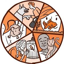I have 15 rentals, and am trying to have pets in every one. The Power Of Pets Nih News In Health
