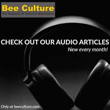 Ann Harman: Worker Bee Extraordinaire