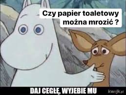 Codziennie dostarczamy najświeższy sort memów na viralowe tematy z obecnych wydarzeń. Memy Kowalskiego Home Facebook