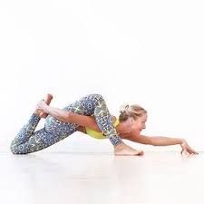 Animalasanas Lizard Pose Easy Yoga Workouts Yoga Asanas Advanced Yoga