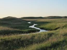 Image result for Grasslands