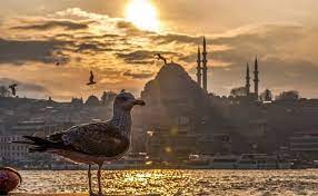 doga bilimcisi kilic istanbul da 1 hafta sonra deprem olabilir istanbul doga gecmis olsun
