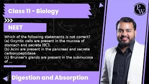 Plasma Protein | Ppt