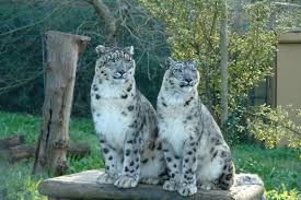 2020 top things to do in pedroso. Zoo Santo Inacio