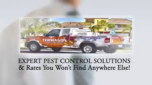 12112 n rancho vistoso blvd, ste 150. Tucson Pest Control Termite Control Tucson Az By Termagon Local Pest Control Company Tucson Az Youtube