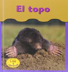 Amazon Com El Topo Moles Heinemann Lee Y Aprende Heinemann Read And Learn Spanish Spanish And English Edition 9781403443434 Whitehouse Patricia Books