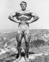Check spelling or type a new query. Arnold Schwarzenegger S Days As A Bodybuilder Inspire New Tv Series Pump
