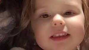 Fundraiser for Sandra Berube by Dale Postler : Family tragedy 2-year-olds  face was attacked by a dog