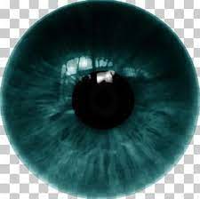 Human Eye Contact Lenses Png Clipart Circle Closeup Color Contact Lenses Desktop Wallpaper Free Png Downlo Studio Background Images Contact Lenses Lenses
