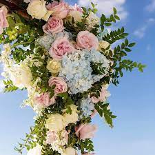 The company's filing status is listed as active and its file number is g11000098497.the company's principal address is 4130 central sarasota pkwy #1833, sarasota, fl 34238. Extraordinarily Orlando S Wholesale Florist