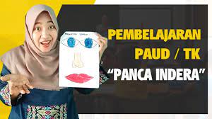Mewarnai gambar diri sendiri mewarnai gambar. Cara Mengajar Anak Paud Tk Sub Tema Panca Indera Youtube