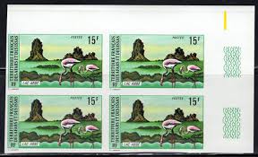 Image result for Diaphananthe sp.no.1. (Ball 657)