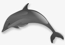 Maybe you would like to learn more about one of these? Dolphin 2 Dolphin Clip Art Transparent Free Transparent Png Download Pngkey