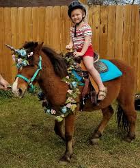 All prices based on a 30 mile radius form our location for exact price and booking please contact us. Unicorn Pony Rides M M Pony Express Cleburne Tx
