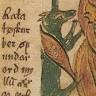 Ratatosk