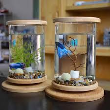 I wanted to show you different types of breeding containers for fish. Barrel Betta Fish Tanks Mini Desktop Aquaponic Aquarium 360 Rotating Ultra Clear Glass Fish Bowl With Non Slip Wooden Base Lid Aquariums Tanks Aliexpress