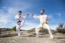 Martial arts can be grouped by type or focus, or alternatively by regional origin. Men Doing Martial Arts Poses Stockphoto
