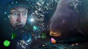 CREEKSIDE CARP POND IS ON FIRE!!! {4 over 20Lbs}