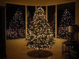 Native to northern california, the noble fir is one of the most popular christmas tree. Bh Noble Fir Artificial Christmas Tree Contemporary San Francisco By Balsam Hill Houzz