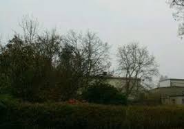 Gartenhäuser sind der ruhige rückzugsort, an dem sie vom hektischen alltag entspannen können. Mapio Net Images Immo Expose 9945433 Garten Meh
