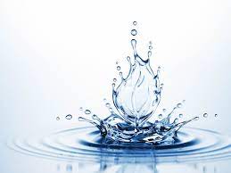 Par contre, il est recommandé de ne pas laisser un bâton de binchotan plus de 48h dans l'eau (et 24h pour le charbon actif de bambou). Comprendre Le Pouvoir De L Eau Different Land